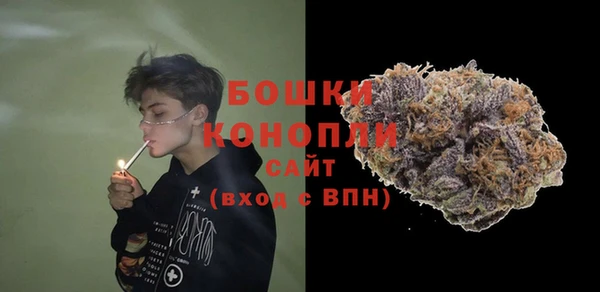 ПСИЛОЦИБИНОВЫЕ ГРИБЫ Кулебаки