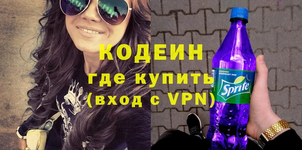 соль ск Кукмор