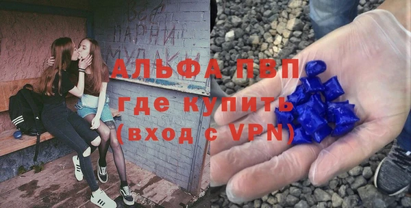ПСИЛОЦИБИНОВЫЕ ГРИБЫ Кулебаки