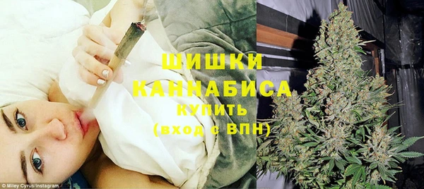 ПСИЛОЦИБИНОВЫЕ ГРИБЫ Кулебаки