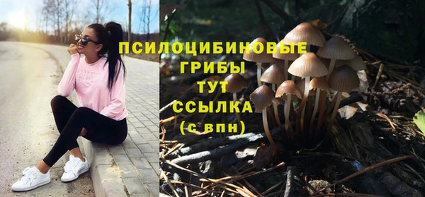 ПСИЛОЦИБИНОВЫЕ ГРИБЫ Кулебаки