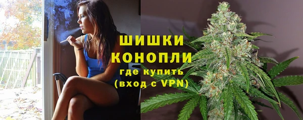 соль ск Кукмор