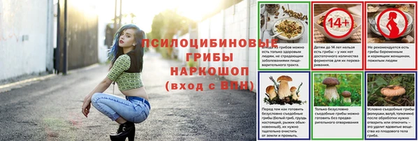 соль ск Кукмор