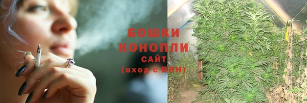 молекула духа Куйбышев