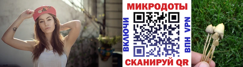 Купить где  Калач  Галлюциногенные грибы GOLDEN TEACHER 